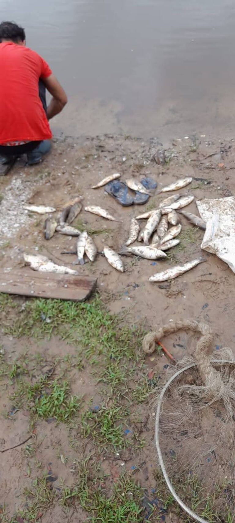 Pescadores de Itapé acusan a Azpa por derrame letal.