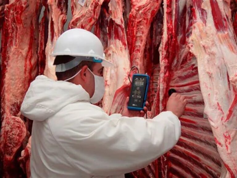 Aumento de carne: Gobierno minimiza importaciones y propone controles.