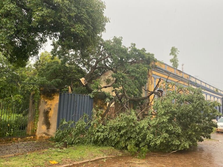 Concepción: fuertes vientos, tormenta, lluvia y granizo intensos.