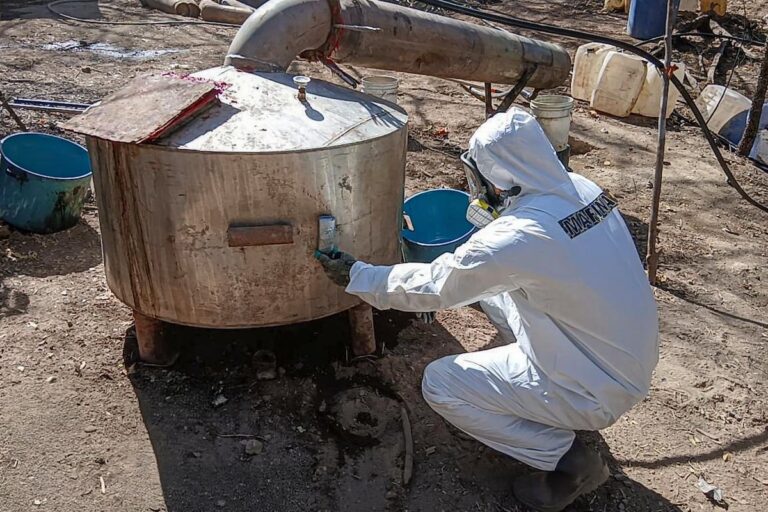 El Gobierno intensifica el decomiso de drogas sintéticas con ataques en Sinaloa, Sonora y Guerrero