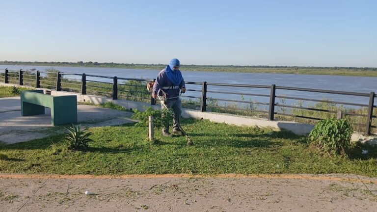 Municipalidad comienza limpieza de Costanera Sur tras reclamos.