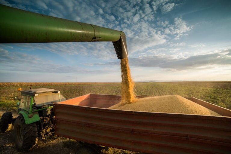 Sojeros alertan que impuestos elevarán costo de canasta básica.