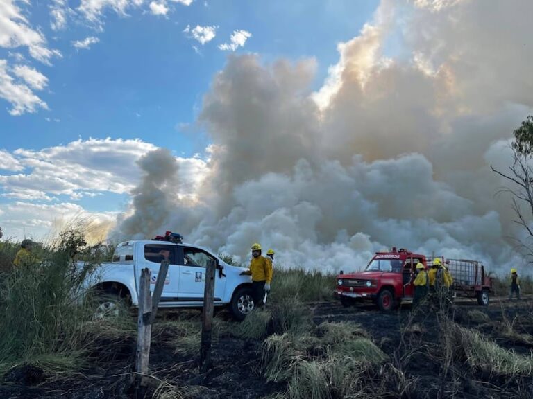 Varios incendios de pastizales registrados en Concepción.