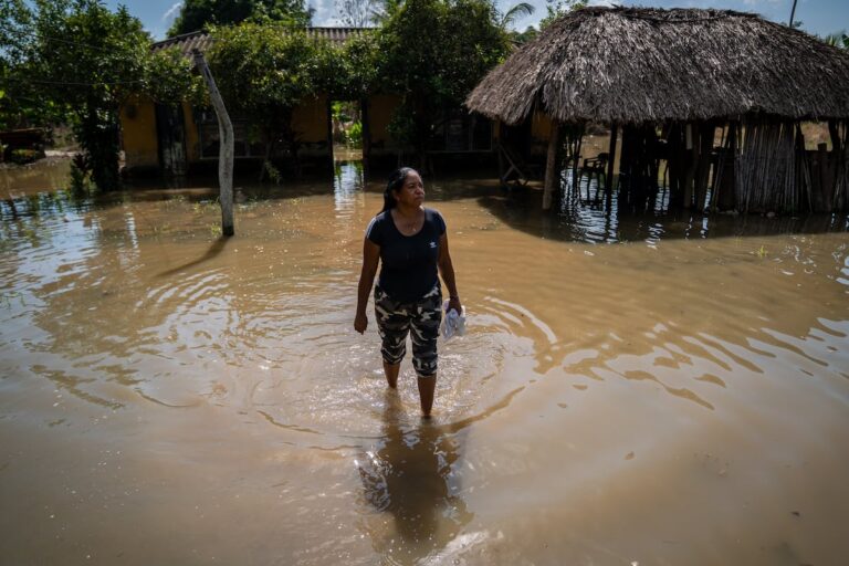 El río Sinú no deja de crecer en Lorica: “Rezo para que mis gallinas sobrevivan para pagar mis deudas”