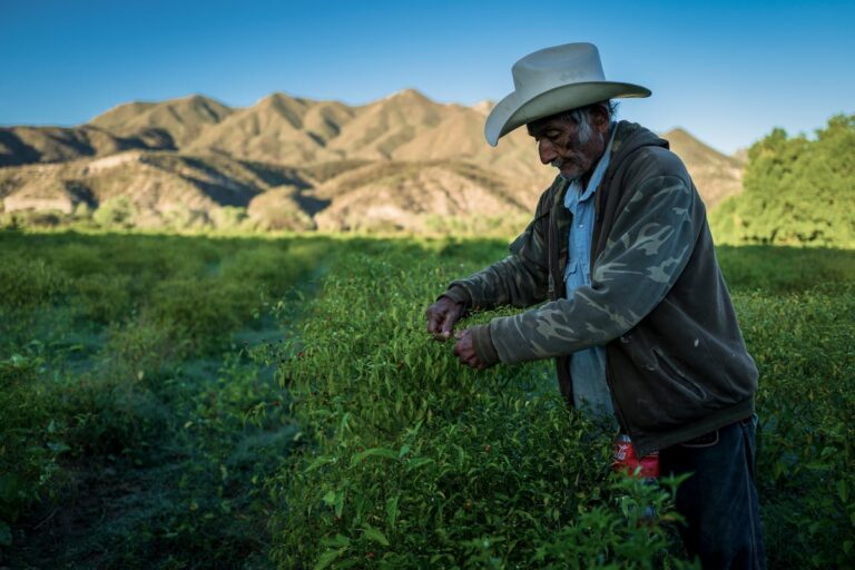 La entrega anual de agua a Estados Unidos compromete a los agricultores mexicanos