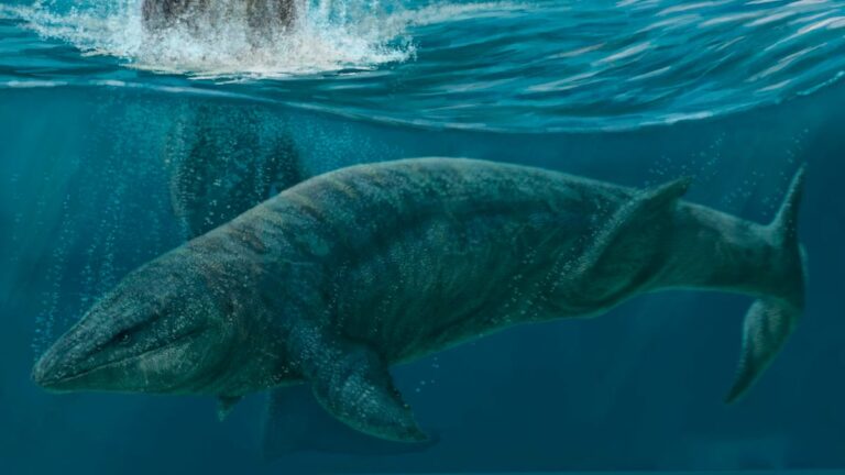 Así era el ‘Prognathodon cipactli’, el monstruo marino de la época de los dinosaurios descubierto en México