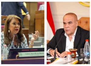 Celeste Amarilla cuestiona título de neurocirujano a Basilio Núñez en el Congreso