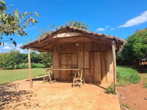 Informe del PNUD revela desafíos de desarrollo humano en América Latina y Paraguay