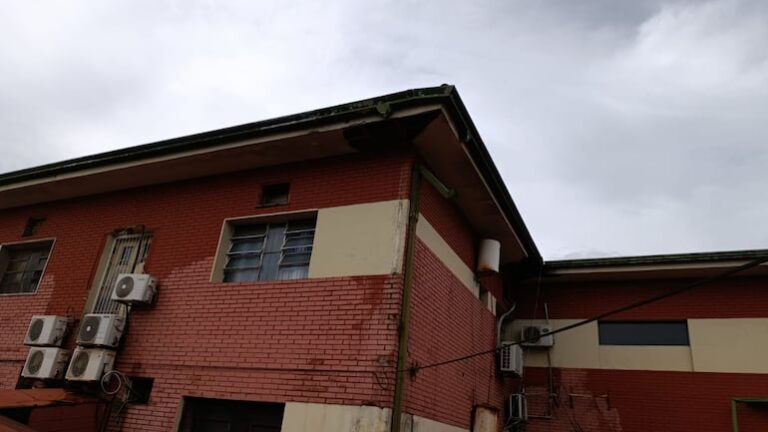 Invasión de abejas obliga a intervención de Bomberos en Hospital de Ciudad del Este