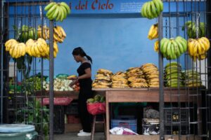 La intervención de Estados Unidos pone fin a diez años de silencio estadístico en Venezuela