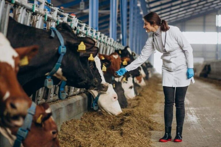 Transformación en el agro: demanda de mano de obra y liderazgo femenino en Paraguay