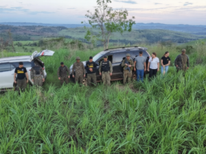 Masivo operativo en Amambay: Incineran 8 hectáreas de marihuana y desmantelan campamentos