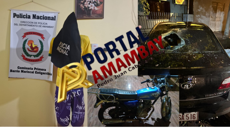 ¡Furia desatada! No aceptaba al novio de su madre, atacó la casa y destrozó un auto a pedradas