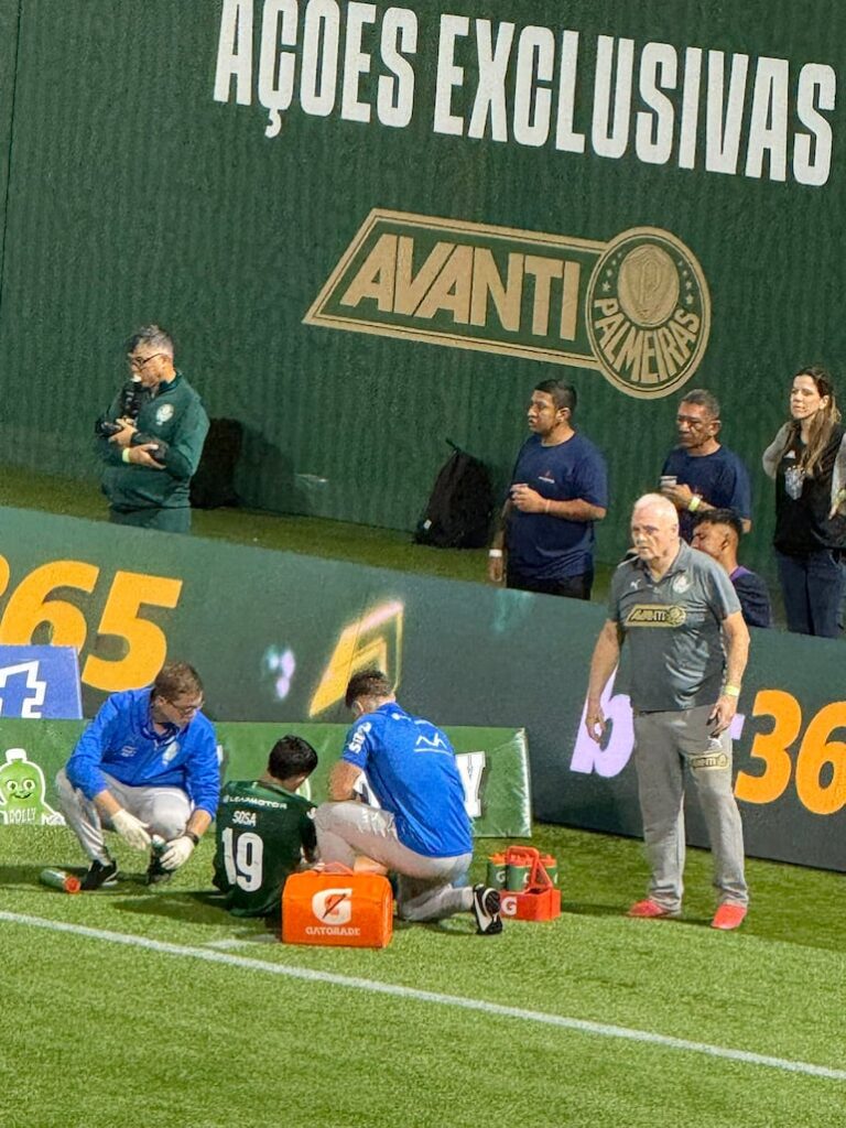 Ramón Sosa sufre una lesión en Palmeiras, lo que causa inquietud ante el Mundial – Fútbol Internacional