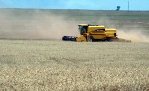 Reducción de impuestos en Argentina amenaza competitividad del campo paraguayo