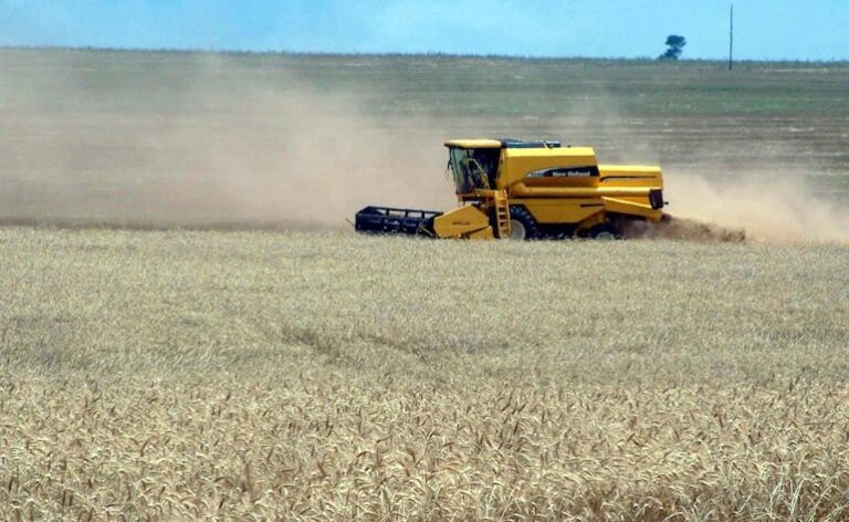 Reducción de impuestos en Argentina amenaza competitividad del campo paraguayo
