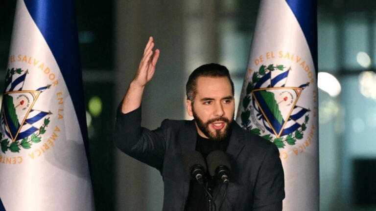 El patrimonio del presidente Nayib Bukele supera los 4 millones.