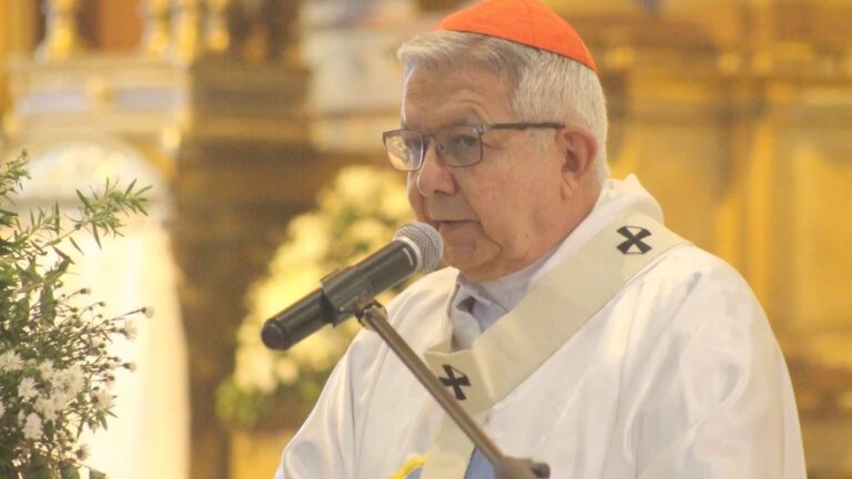 Cardenal: Vino para liberar al ser humano de mentiras y oscuridad.