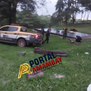 Persecución internacional de película termina con un auto en una piscina y una mujer fallecida en la frontera