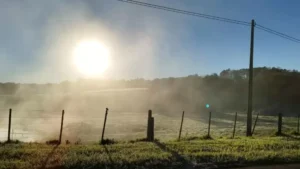 La ola de frío congela el campo y pone en alerta a Salud