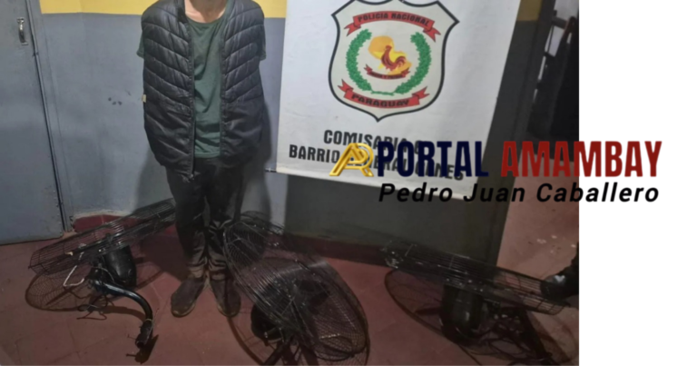 Detienen a un joven con frondoso historial delictivo tras robar tres ventiladores