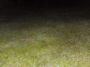 Escarcha cubre campos de Carapeguá tras mínima de 3 grados en junio