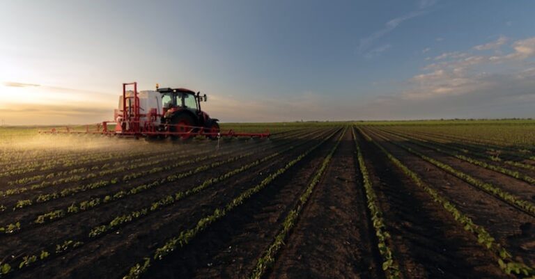 Transformación productiva en el Chaco destaca crecimiento agrícola según encuesta del MAG