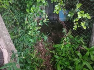 Mujer y su hija escapan de tercer intento de robo en Itauguá