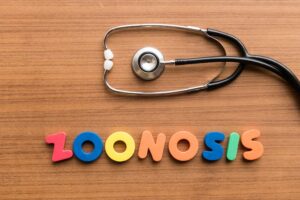 Paraguay refuerza estrategia sanitaria para enfrentar amenaza de zoonosis