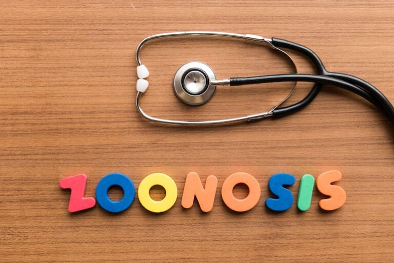 Paraguay refuerza estrategia sanitaria para enfrentar amenaza de zoonosis