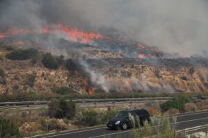 Últimas noticias sobre el incendio forestal de Los Gallardos (Almería), en directo | Al menos 12 muertos y 23 personas desaparecidas en el incendio más trágico registrado en Andalucía