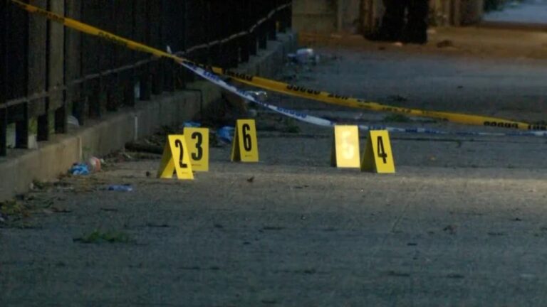 Hombre abre fuego en fiesta del 4 de julio en NY, hiere a 8.