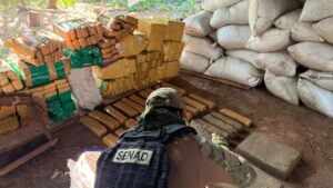 Senad incinera más de 20 toneladas de marihuana en Bella Vista.