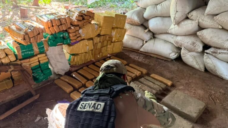 Senad incinera más de 20 toneladas de marihuana en Bella Vista.