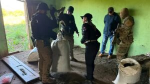 SENAD incauta 14 toneladas de marihuana y arresta a hombre.