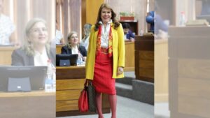 Celeste Amarilla asiste al Senado luciendo los colores de España.