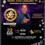 Diseño sin título