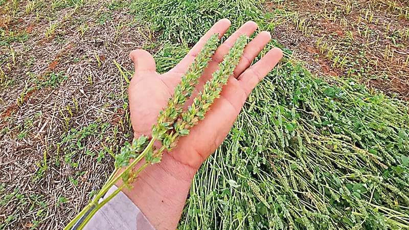 YWMQI4TG5JALXP6YKPU3WSJ5N4