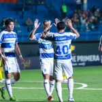 descarga (1)