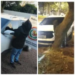 Conductor aprehendido tras chocar camioneta contra árbol en PJC