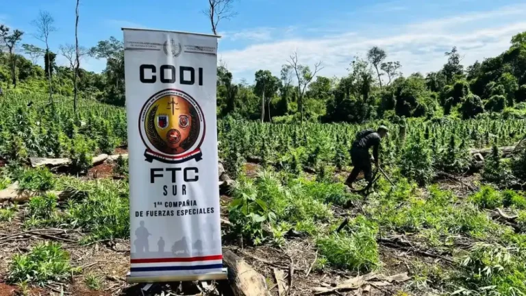 Ganadero denuncia a Fuerza de Tarea por robo en Capitán